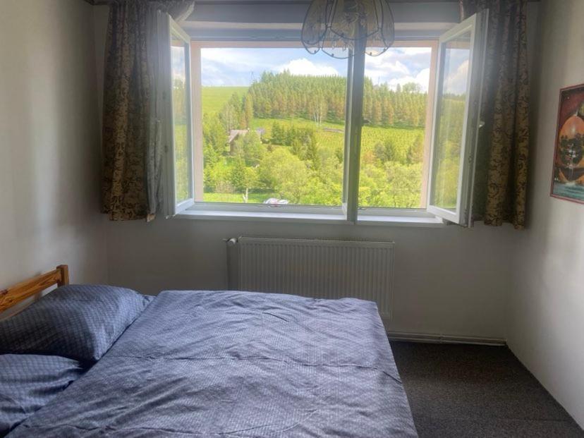 Apartman Orlicke Hory Orlicke Zahori Екстер'єр фото